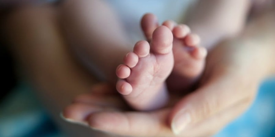 Report: 18,000 Babies Die Each Year in U.S. from Late Term Abortions