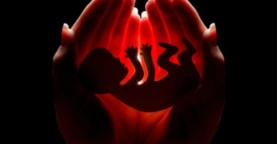 Aborted Babies Reportedly Cut Open while Still Alive