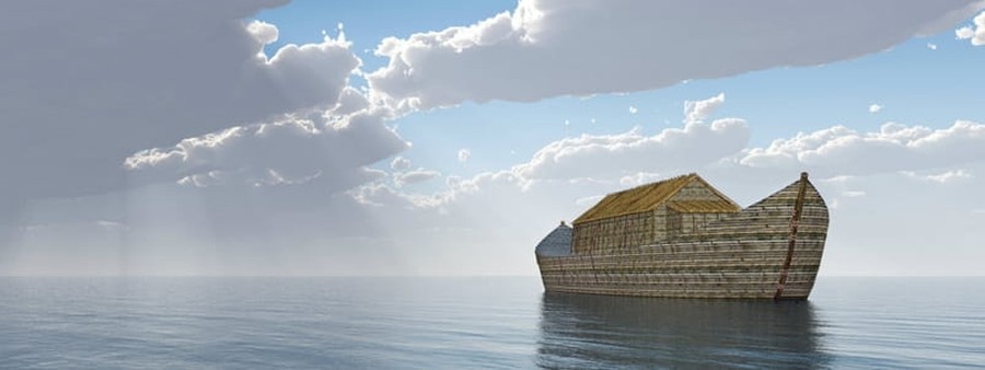 Life-Sized Noah's Ark Replica Set for First Voyage This Summer