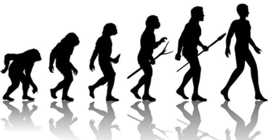 Britons Reject Creationism but Some Find Evolutionary Theory Lacking, Too