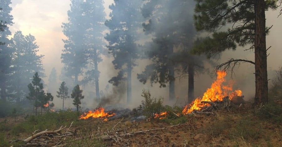 Ranchers Who Survived Wildfires Face Crippling Losses
