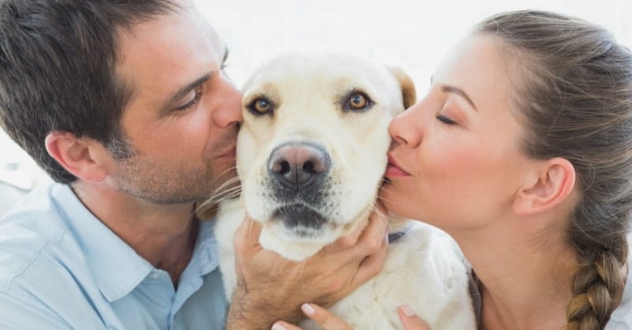 The Dog Boomers: Young Americans Choosing Canines and Kitties Over Kids