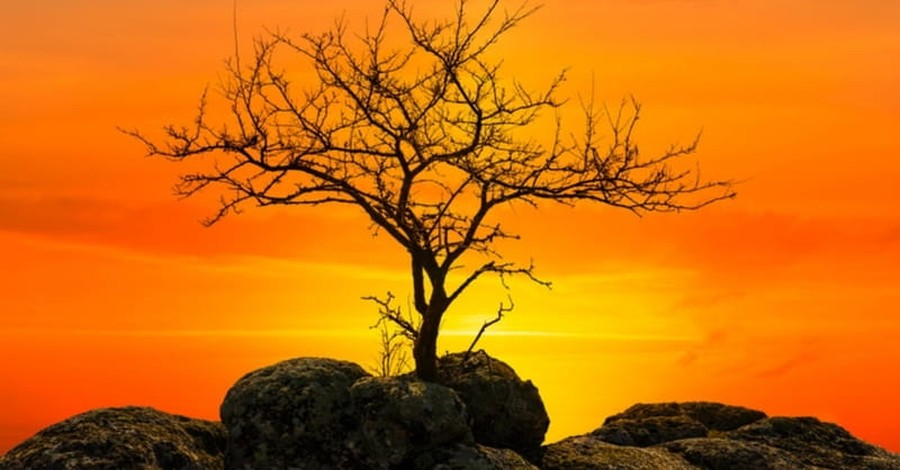 Israeli Scientists Discover Evidence for Old Testament Miracle