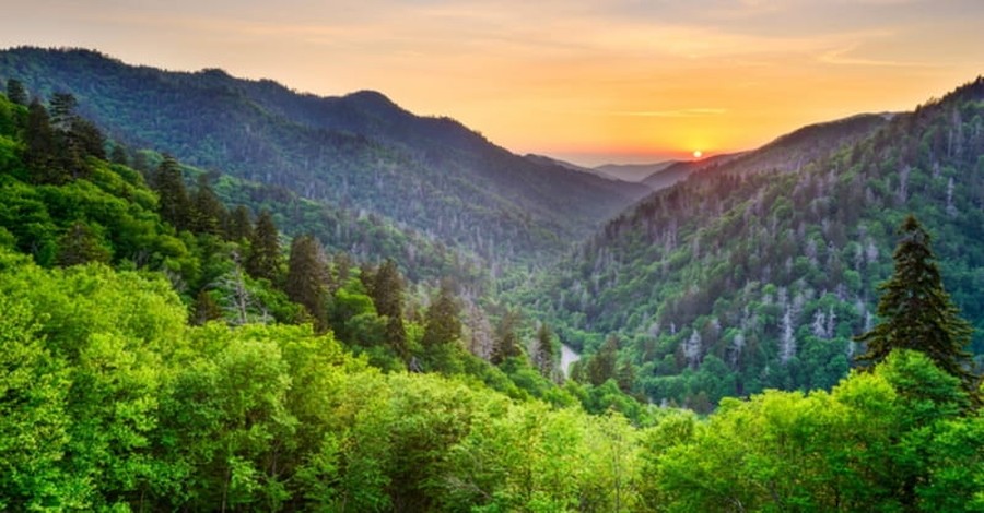 6. Christ in the Smokies