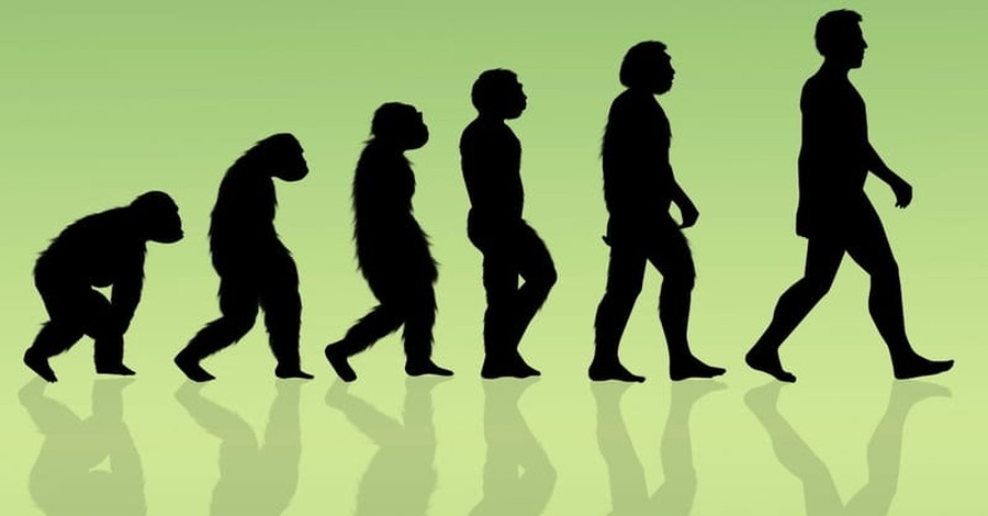 Evolutionists Try to Nourish Darwin’s Wilting Tree of Life