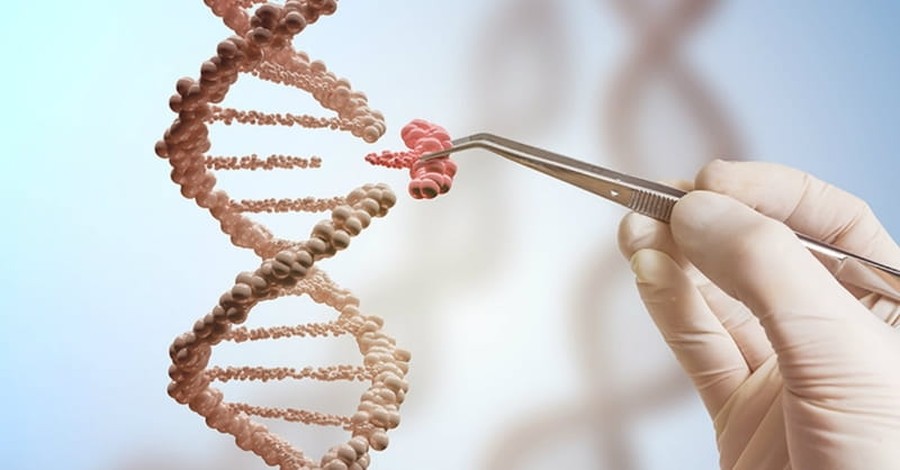 The Genetic Arms Race: Human Dignity at Stake