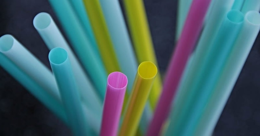 The Last Straw; Plastic Bans and the Shallowness of Environmentalism