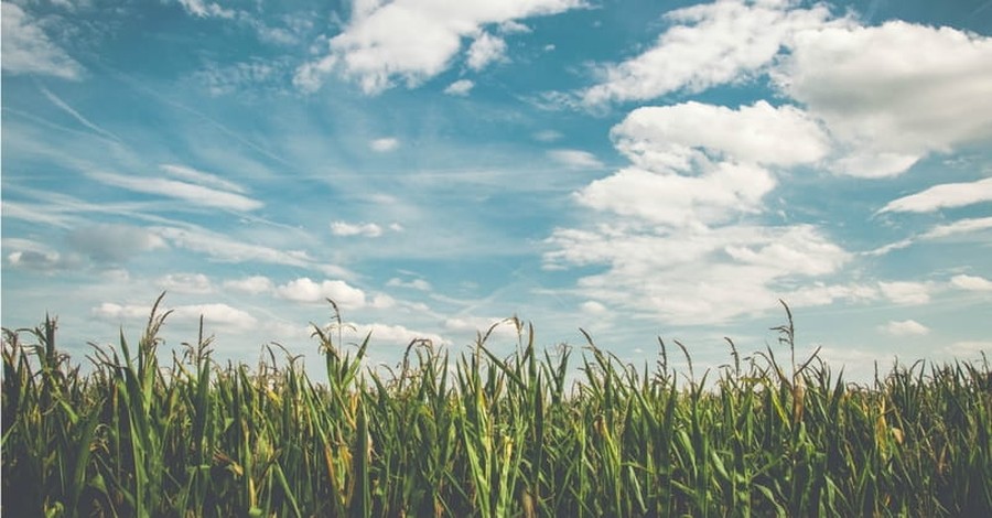 Pennsylvania Couple Fined for Using Farm for Bible Study, Prayer Groups