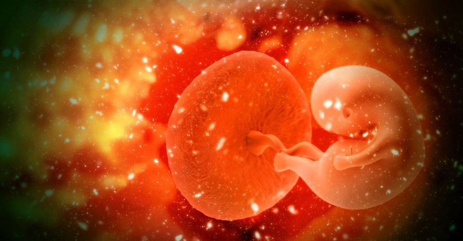 Is an Embryo a Person? What Would You Say?