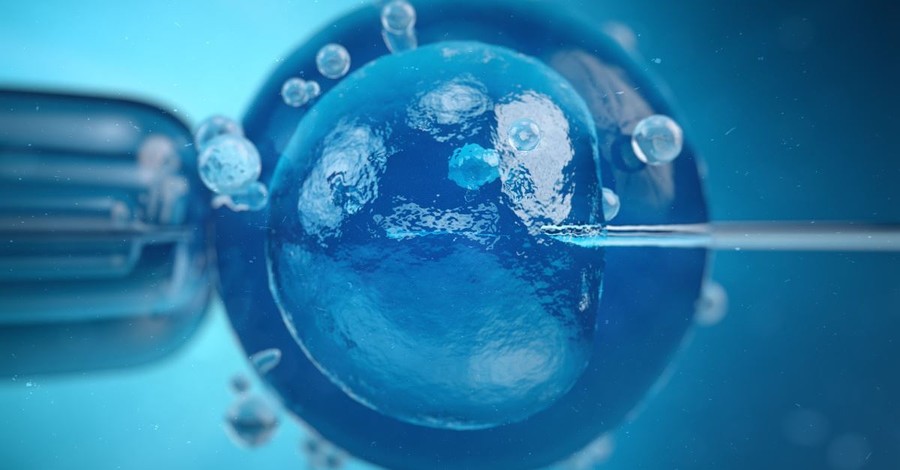 Why Are We Still Funding This? The Failure of Embryonic Stem Cell Research