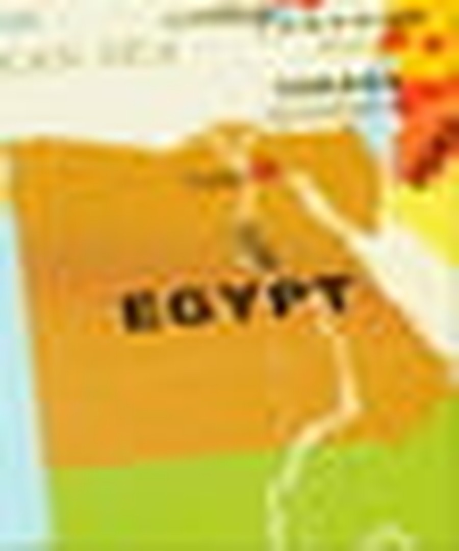 Muslim Brotherhood Claims Victory in Egypt Elections