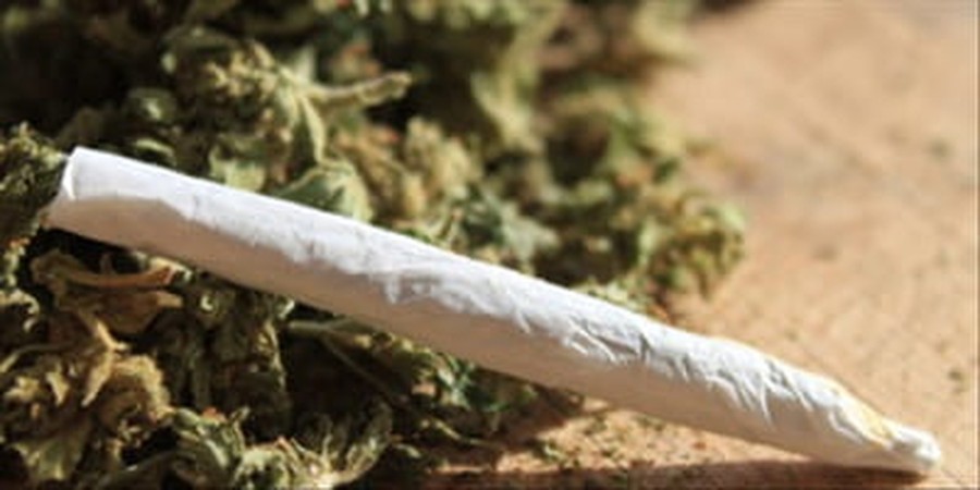 Colorado to Consider Legalizing Marijuana
