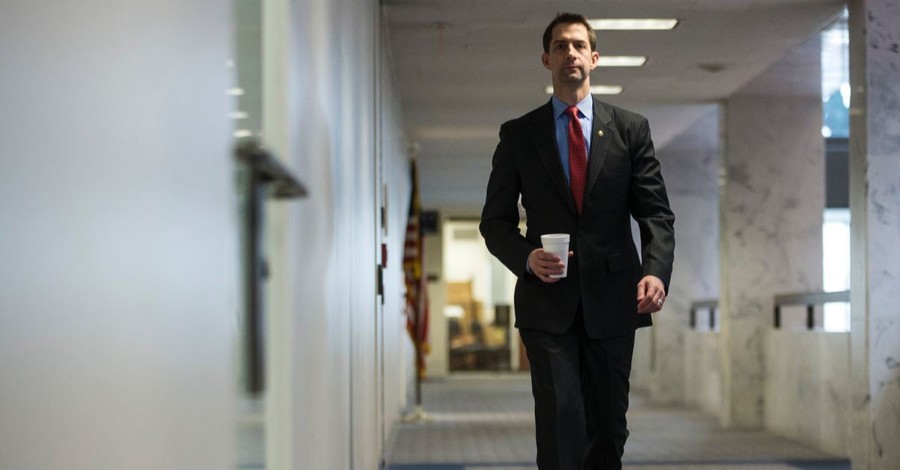 Senator Tom Cotton Talks about American Unity and His Support for President Trump