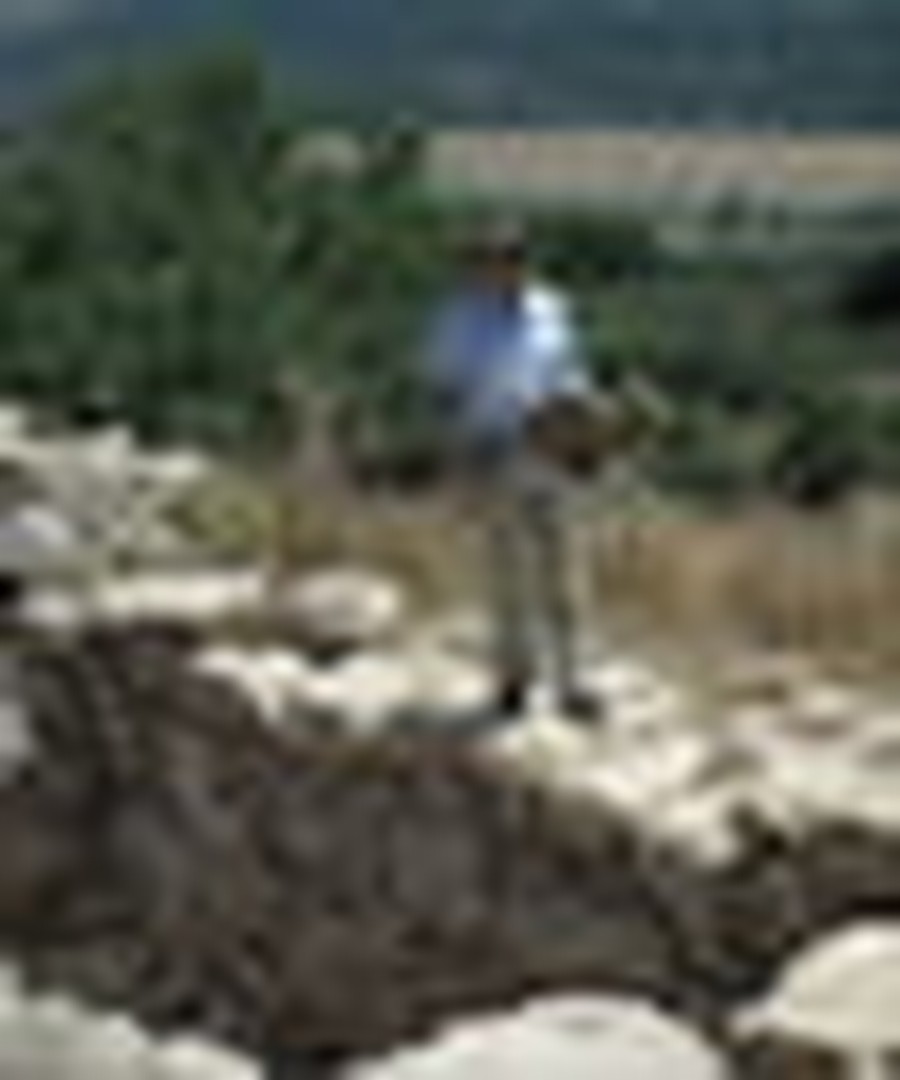 Elah Valley Archaeological Discovery Revolutionizes Kingdom of David and Solomon