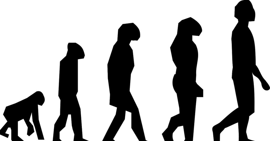 Evolution, Evolutionary psychology and natural selection and human misbehavior