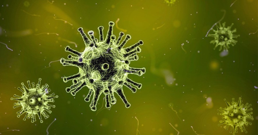 Fear Won't Win the Coronavirus Fight