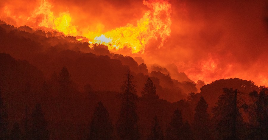 A wildfire burning a California forest, Wildfires ravage California