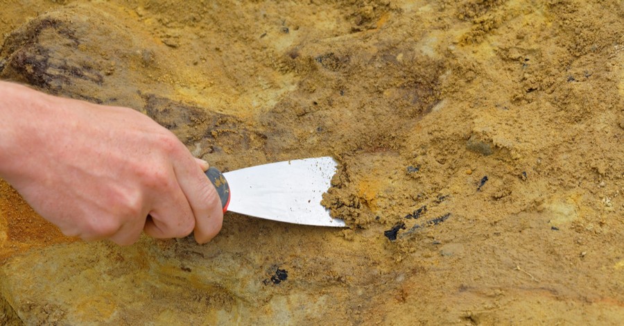 Archaeologists Unearth Oldest City Gate in Israel