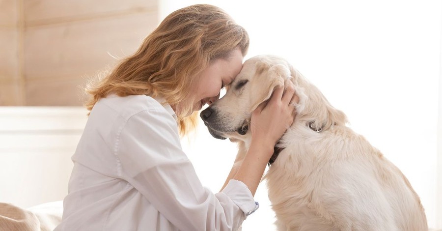 Is It Okay to Treat Our Pets Better Than the People in Our Lives?