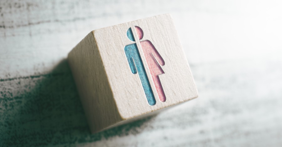 A wooden block showing half of a male and female figure, the real harm of the transgender ideology