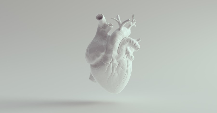 3D Model of a Heart, Todd White reveals that he is suffering from a heart condition