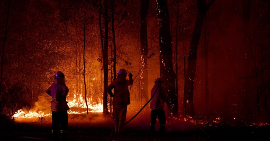 How You Can Help Australia amid Raging Bushfires