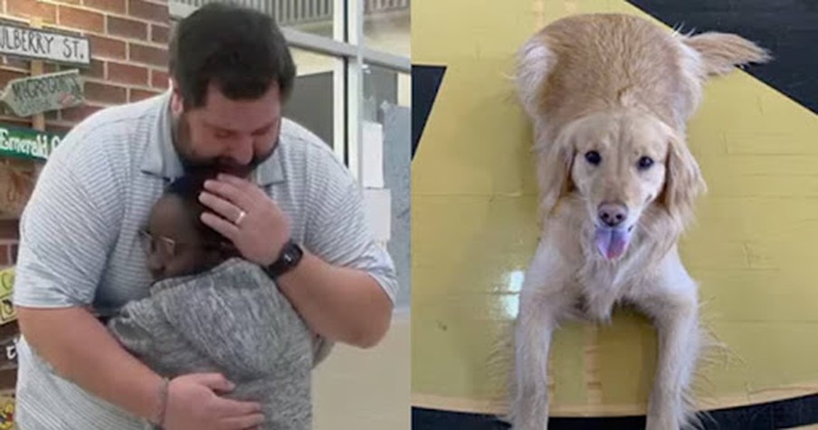 School in Arkansas Mourns the Loss of Their Beloved Emotional Support Dog Abby 