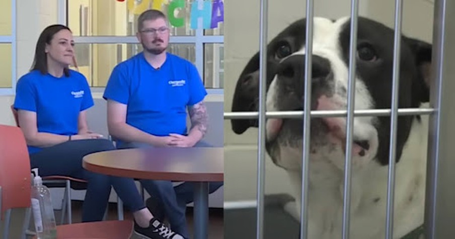 Husband Pays For 40 Pet Adoptions At Shelter For His Wife's 40th Birthday