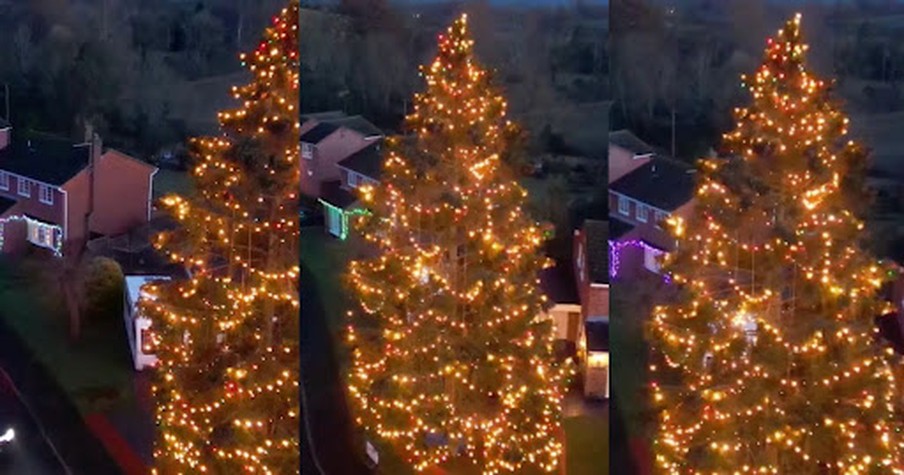 Christmas Tree Planted Back in 1979 Inspires and Unites a Small English Village