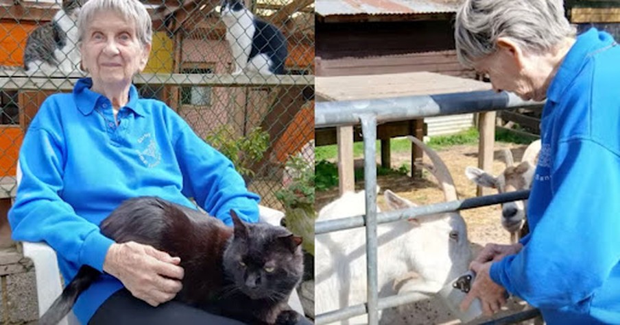 90-Year-Old Cancer Survivor Has Saved Over 10,000 Animals, and She’s Still Not Slowing Down