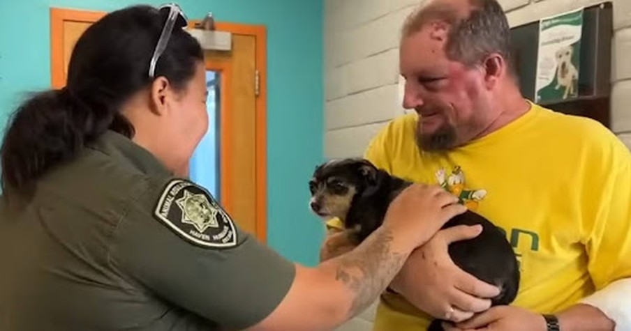 Man and His Dog Reunited After Being Hit by Drunk Driver