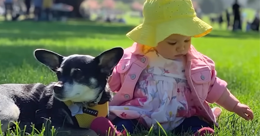They Adopted a New Pup, Then Discovered a Family Connection to Their Dog That Died