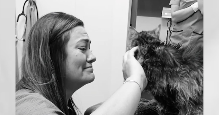 Her Cat Went Missing 13 Years Ago, Now She is Back Home to Spend Her Final Days