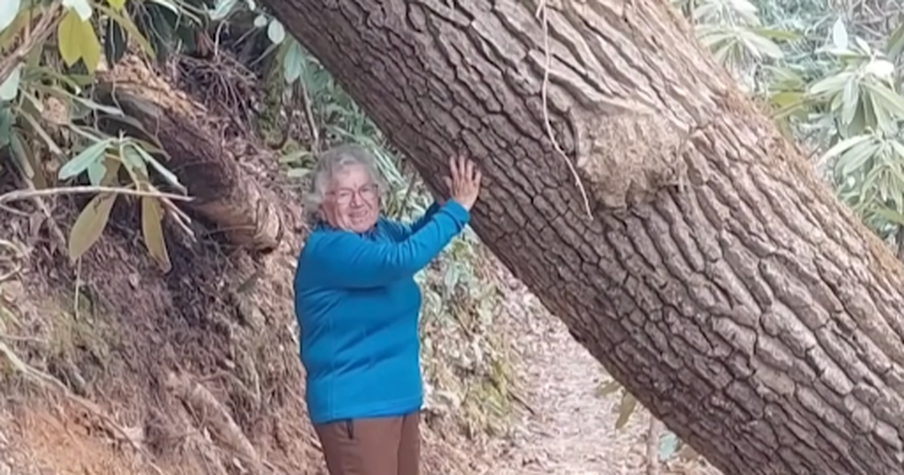 At 80, She Became the Oldest Woman to Hike the Appalachian Trail
