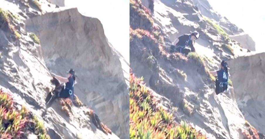 First Responders Pull 40-Pound Dog to Safety After Cliff Fall in San Francisco