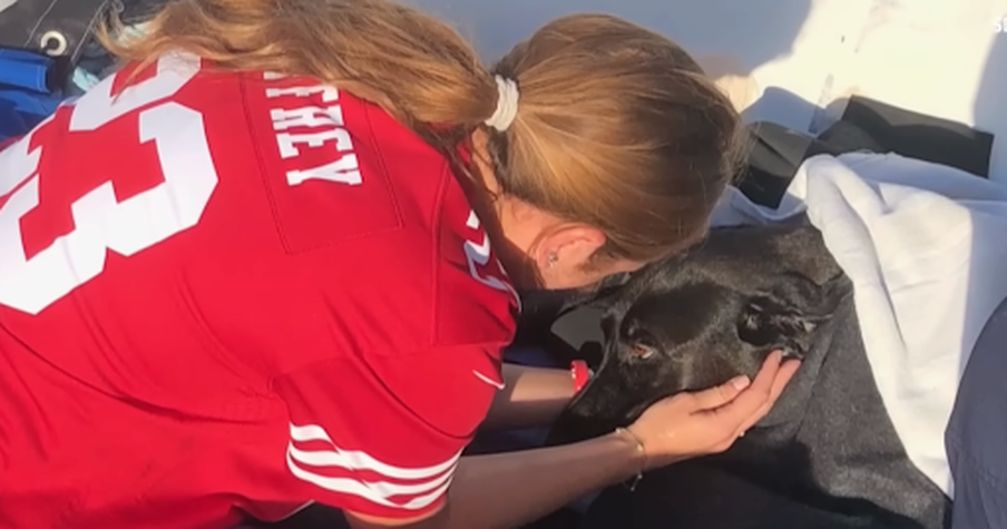 Dog is Found and Rescued After Running Away From California Airbnb