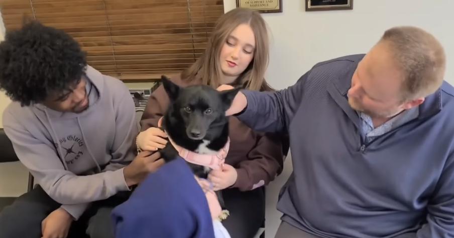 Dog Reunited With Family After Going Missing for Almost a Week Following Winter Storm