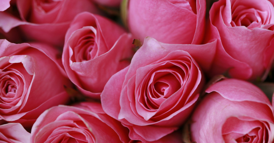 From College Romance to Friendship — and Back Again After One Life-Changing Moment