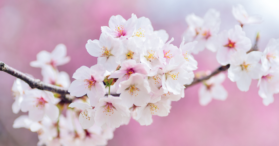 Blogger's Mother's Day Tribute To Those Struggling To Become A Mom