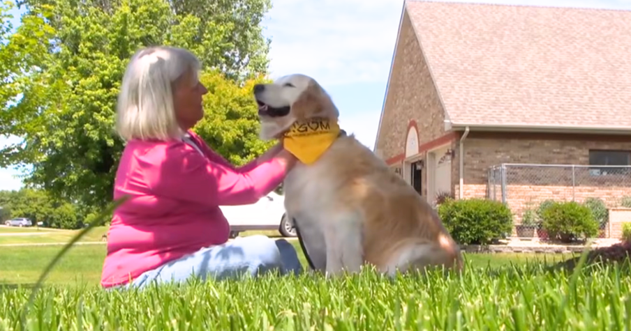 Golden Retriever Becomes a Loving Caregiver After Wife’s Alzheimer’s Diagnosis