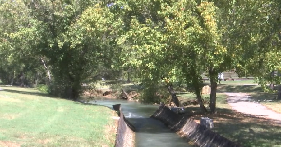College Student Spots 3-Year-Old Clinging to a Creek Branch and Jumps In to Save Him