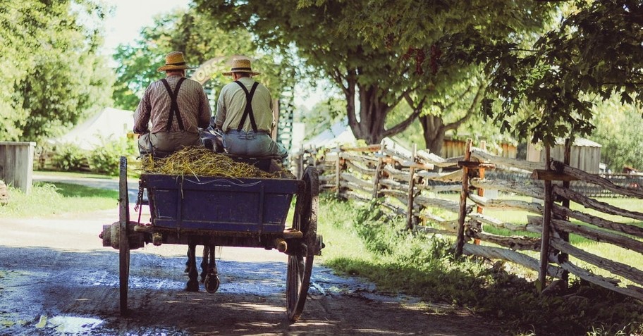 4. Horse and buggy is their best mode of transportation