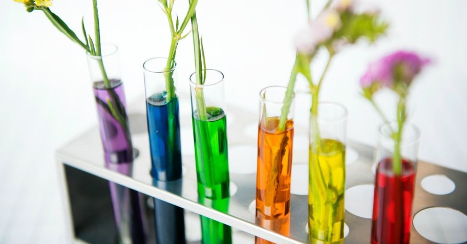 9. Expand your child’s knowledge with easy science experiments. 