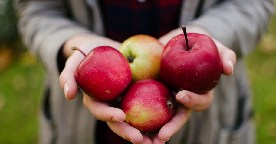 8. Go Apple Picking