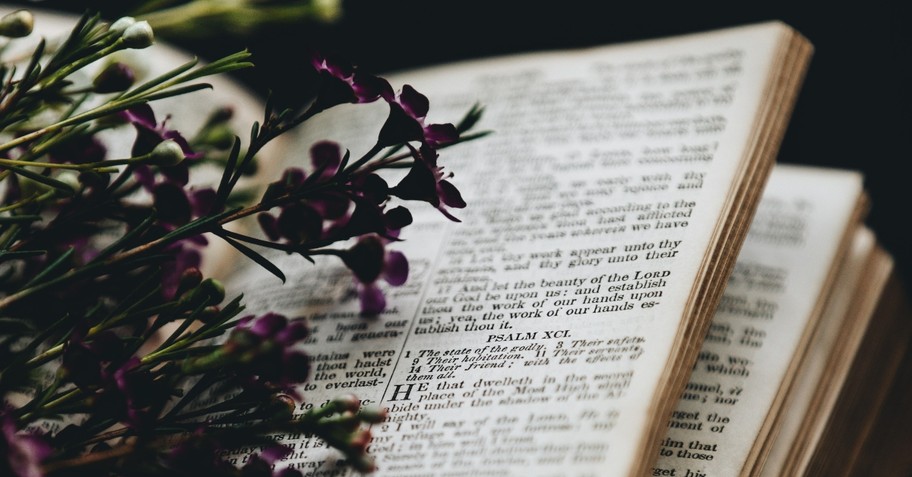 Purple flowers on top of an open Bible