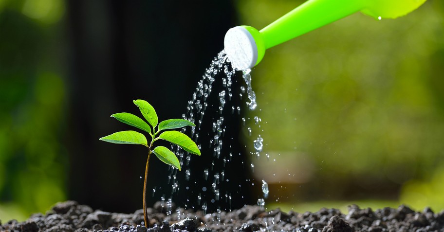 Watering can pouring water on a small, growing plant