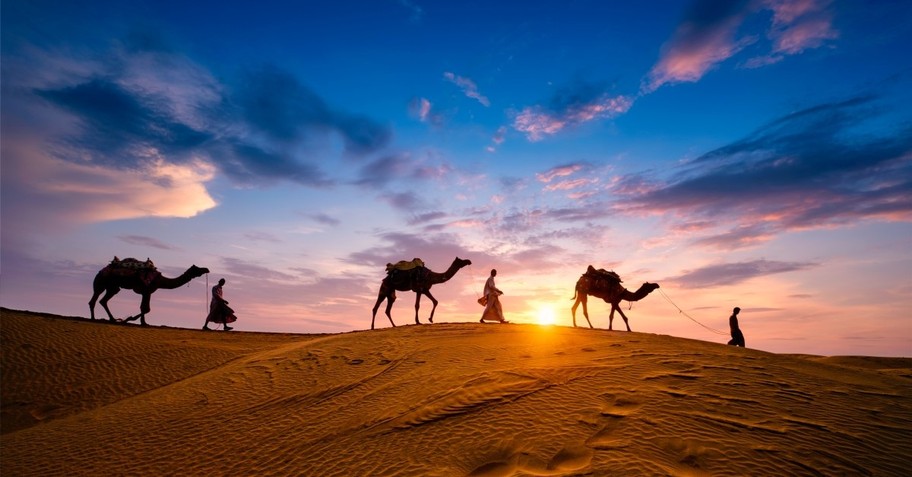 nomads with camels walking through desert