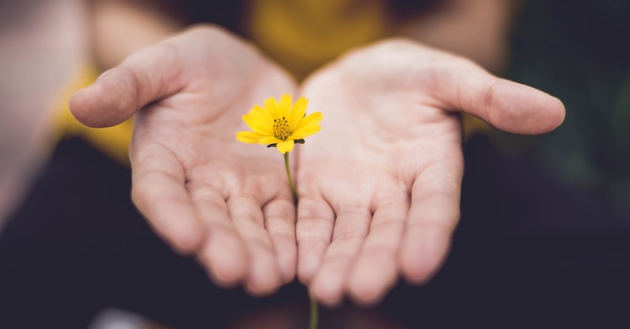 open hands holding flowers