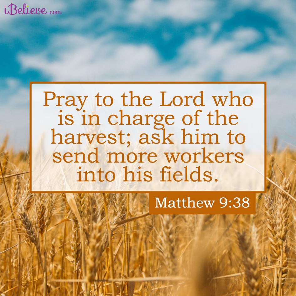 A Prayer for When You Covet Another’s Success - Your Daily Prayer ...