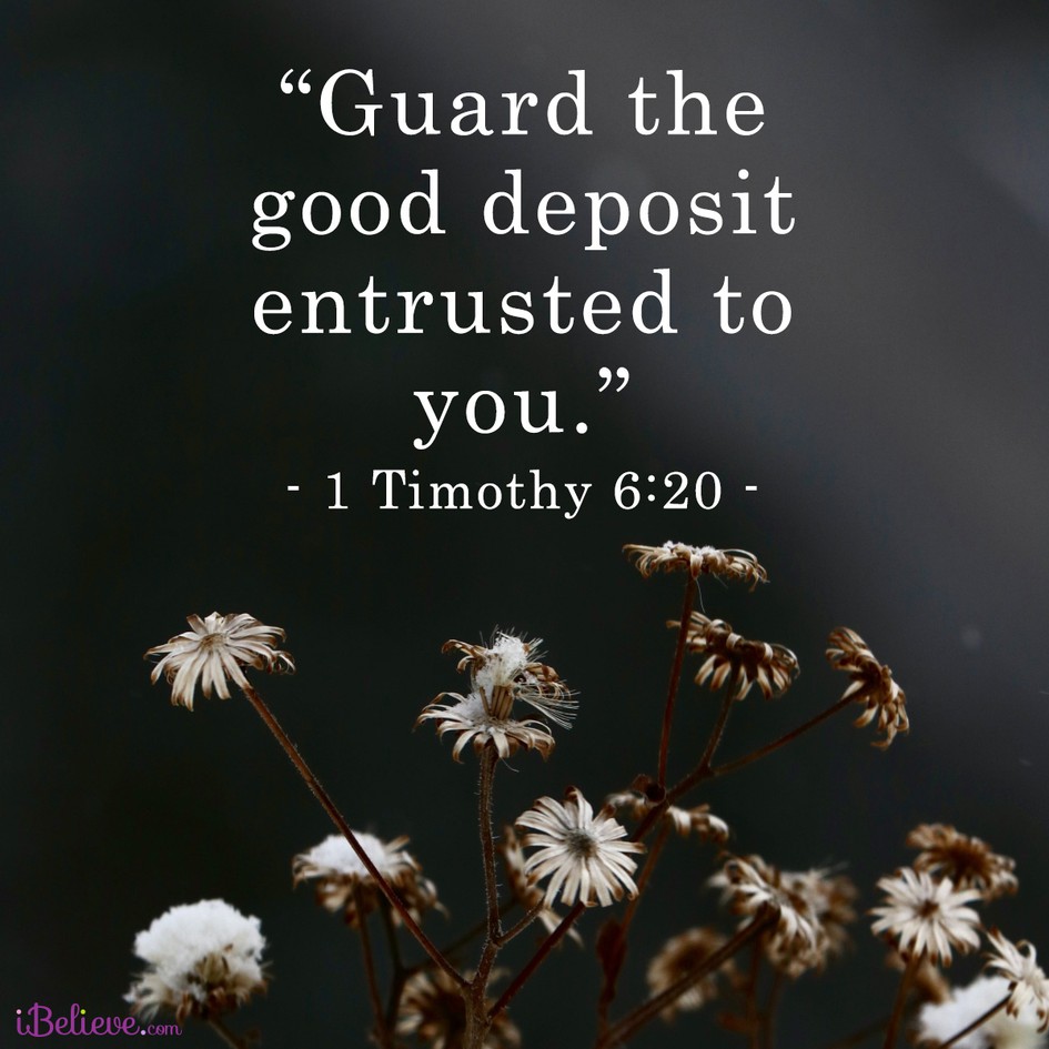 1 Timothy 6:20